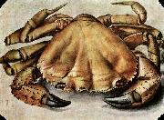 Albrecht Durer Lobster china oil painting artist